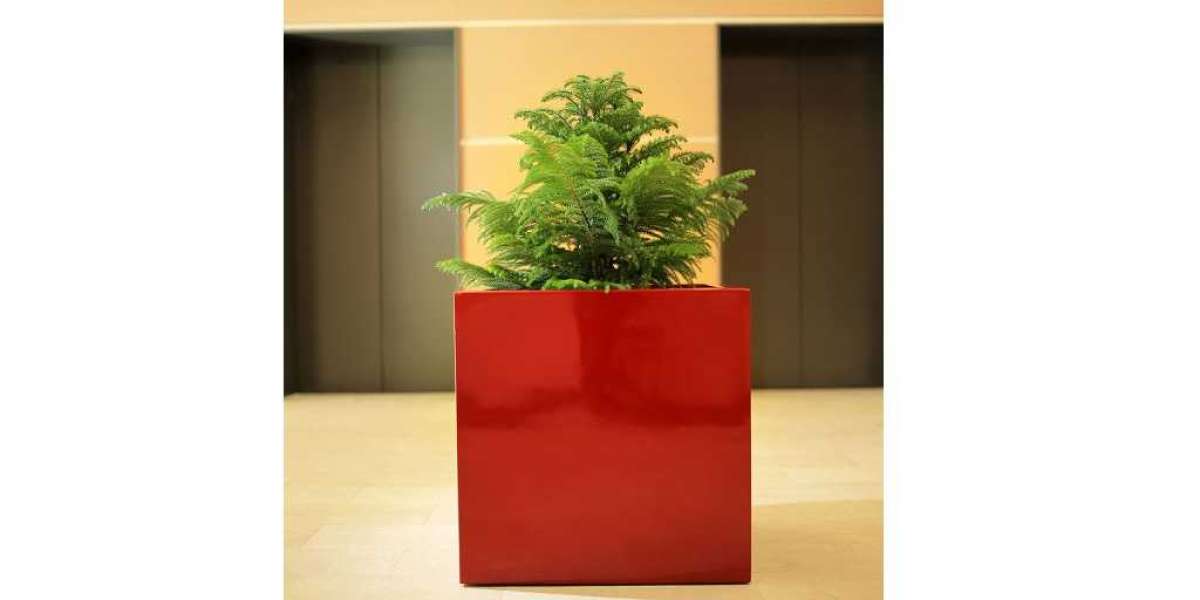 Maximizing Outdoor Space: The Benefits of Square Planters for Cafés and Restaurants