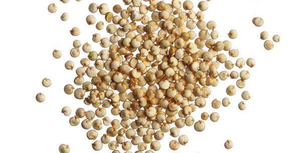 Quinoa Seeds Market Overview, Size, Trend, Future Demand and Forecast till 2030