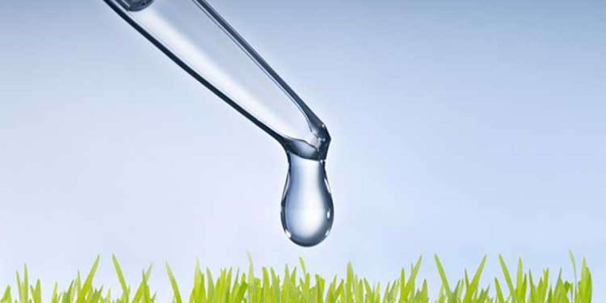 Biostimulants Market Size, Share, Demand & Trends by 2032