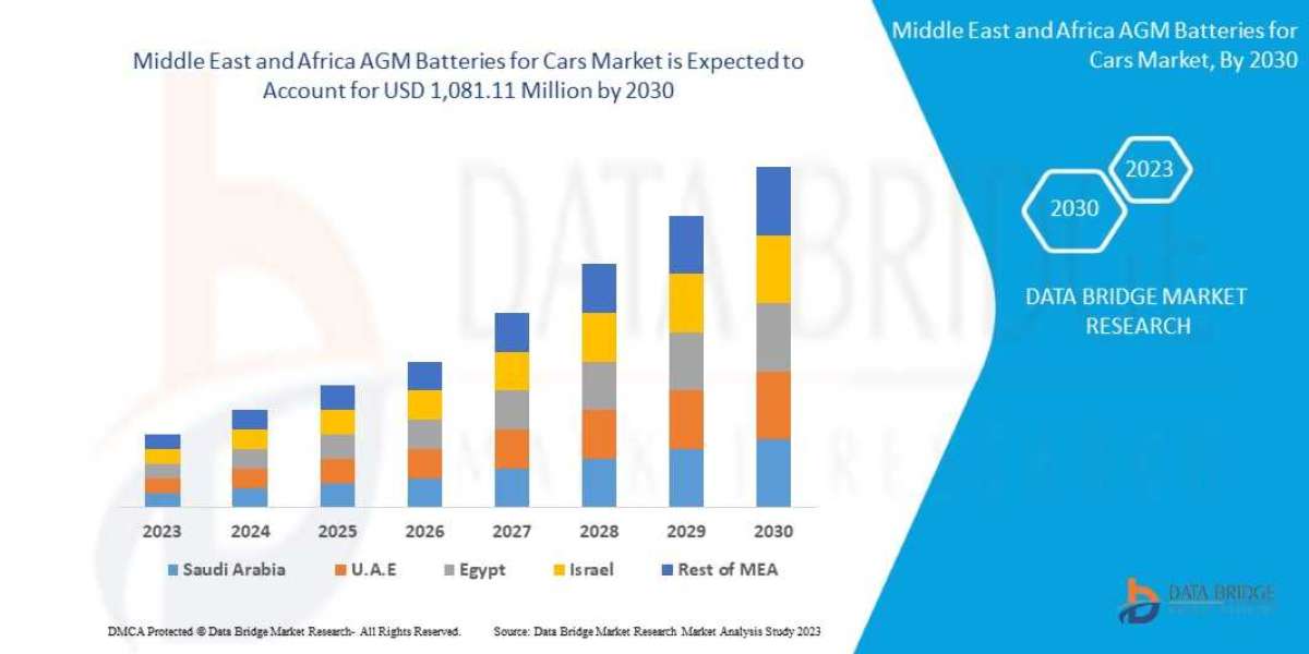 Middle East and Africa AGM Batteries for Cars Market: Key Drivers and Emerging Trends