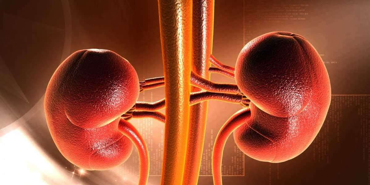 Renal Biomarkers: A New Frontier in Kidney Disease Management