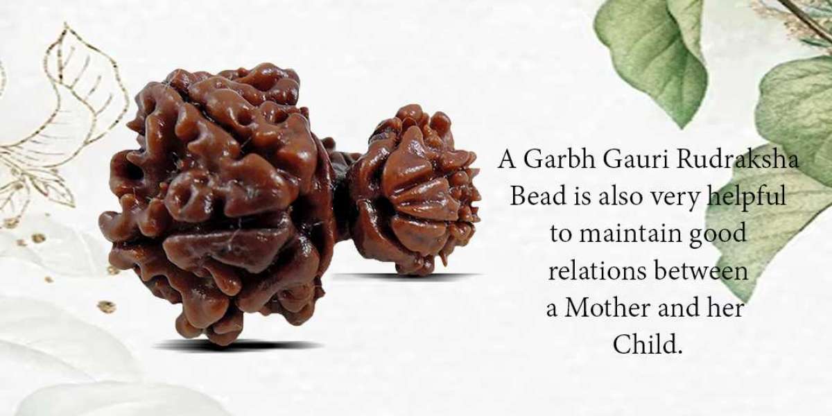 Shop Certified Garbh Gauri Rudraksha At Best Price