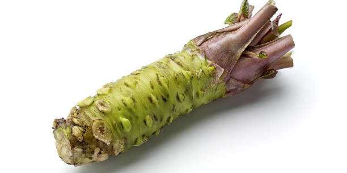 Key Wasabi Market Players Revenue, Trends, Market Share Analysis, and Forecast to 2030