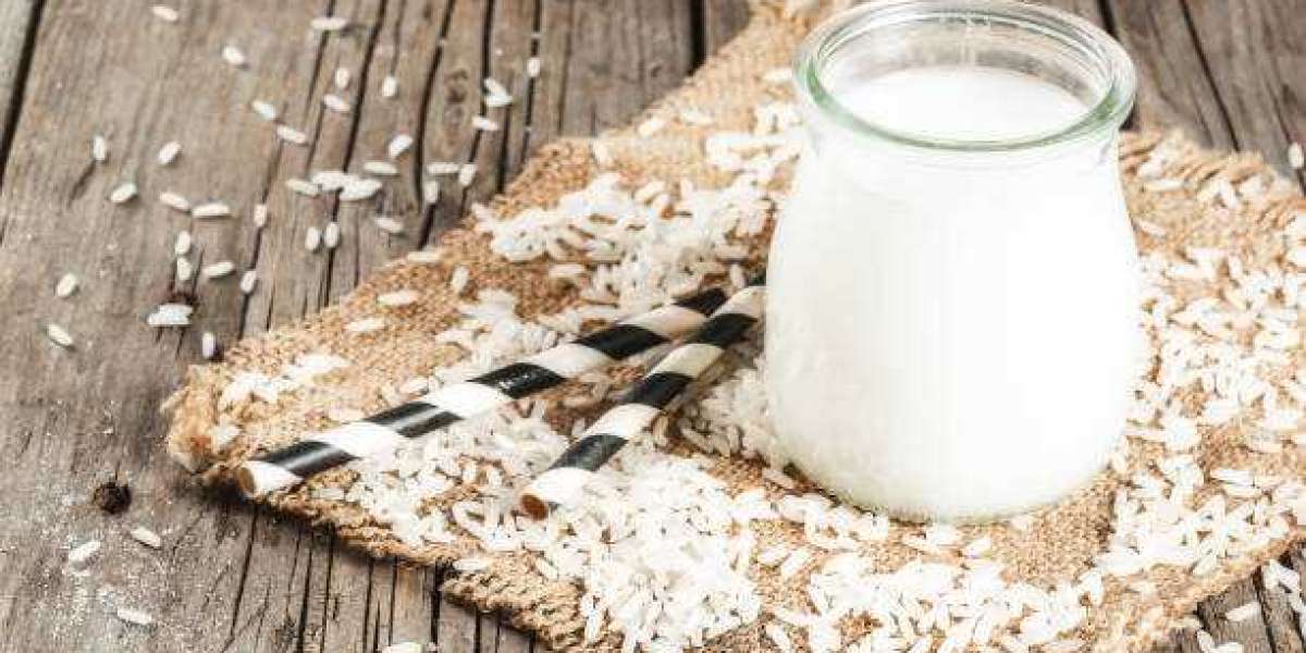 Rice Milk Market Overview, Size, Trend, Future Demand and Forecast till 2030