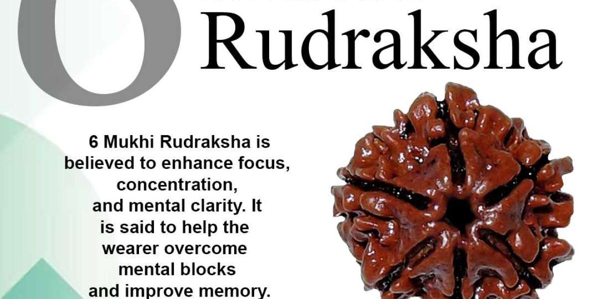 Shop 6 Mukhi Rudraksha Online At best Price