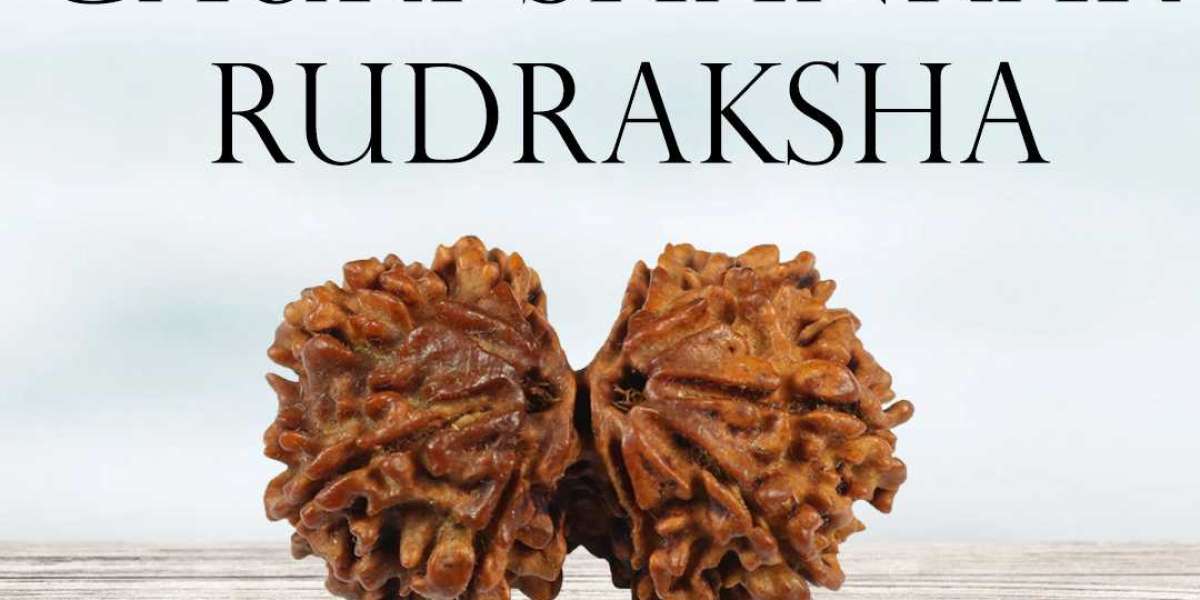 Purchase Certified Gauri Shankar Rudraksha At Wholesale Price