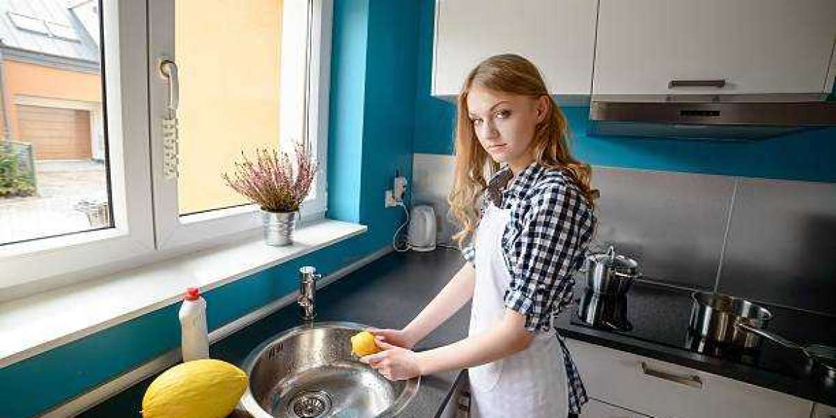 Fruit and Vegetable Cleaners Market Research Report, Industry Segments, Business Trends and Growth by Forecast to 2030