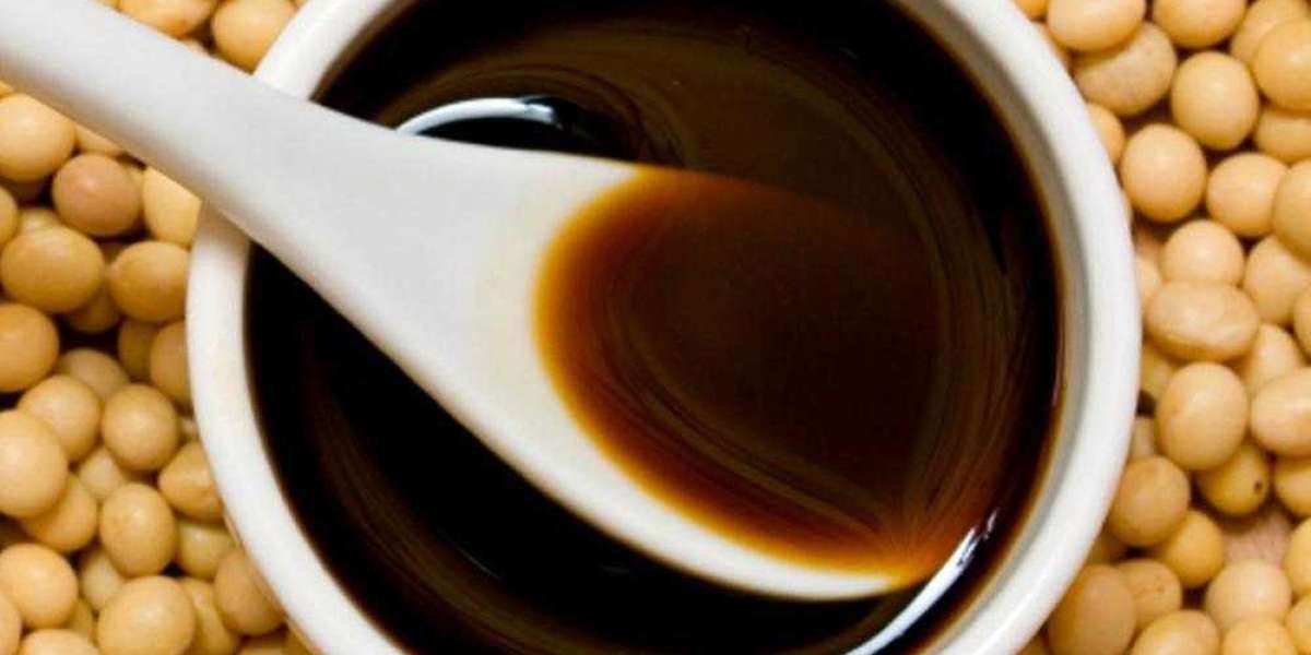 Soy Lecithin Market Competitive Landscape, Future Growth, Strategy and Forecast to 2028