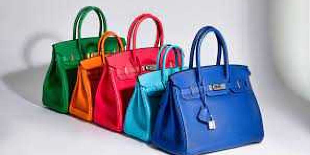 Laptop Bag Luxury Bag Market Key Player Analysis and Forecast 2028