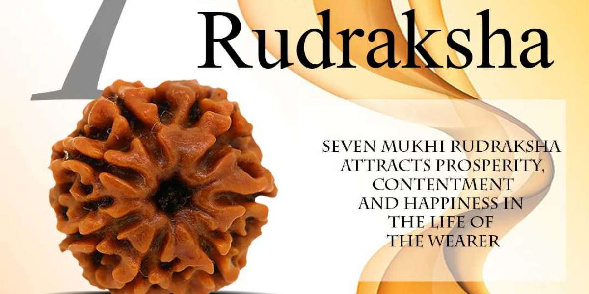 7 Mukhi Rudraksha Online At Wholesale Price