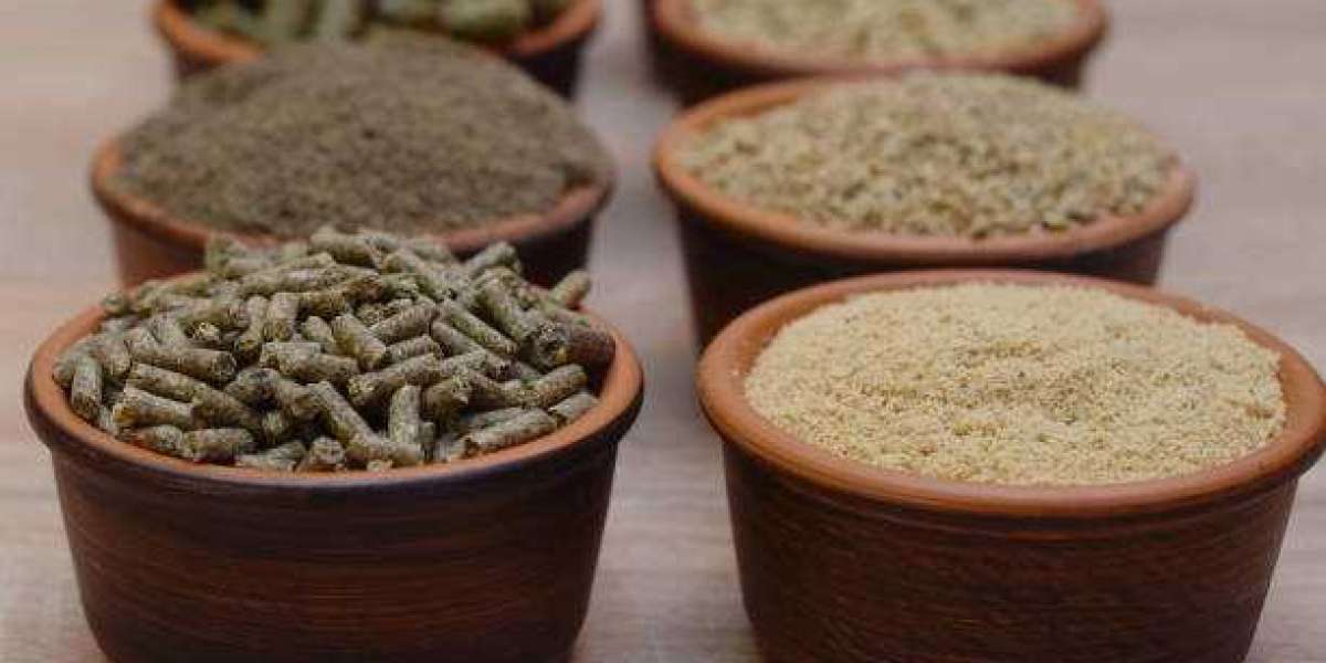 Key Animal Feed Market Players Size, Product Trends, Revenue Share Analysis By 2030