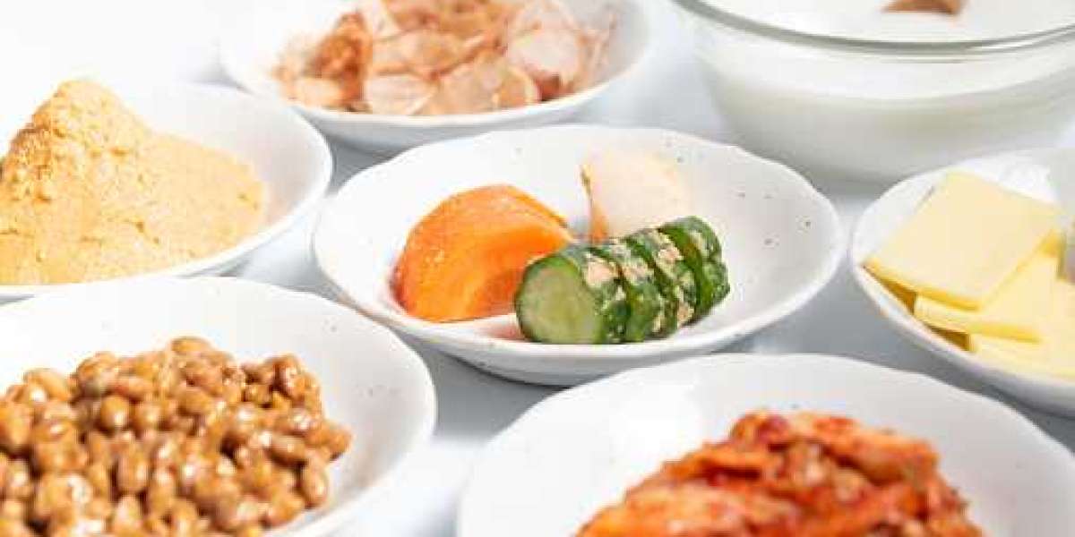 Spain Fermentation Ingredients Market Trends, Category by Type, Top Companies, and Forecast 2030