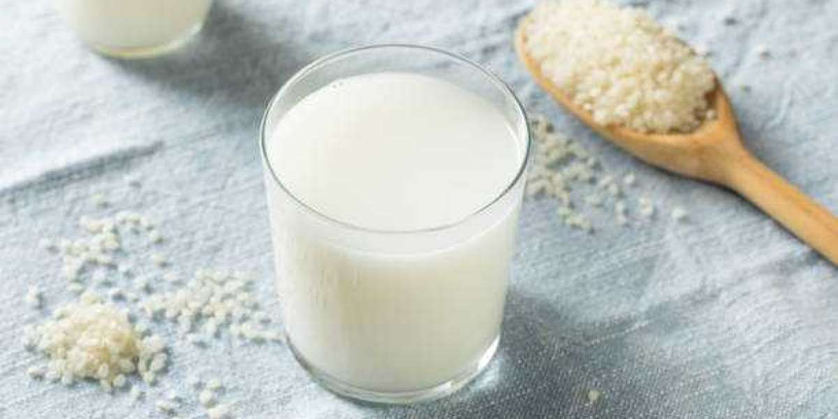 Key Rice Milk Market Players Revenue, Trends, Market Share Analysis, and Forecast to 2030