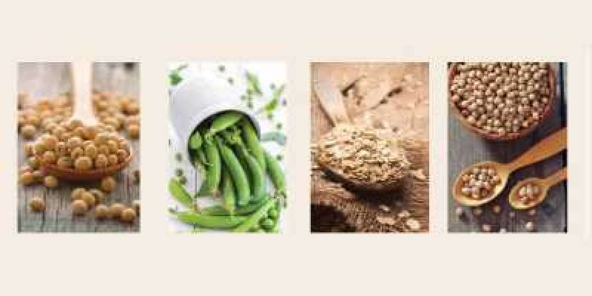 Alternative Protein Market Size, Share, Report by 2030