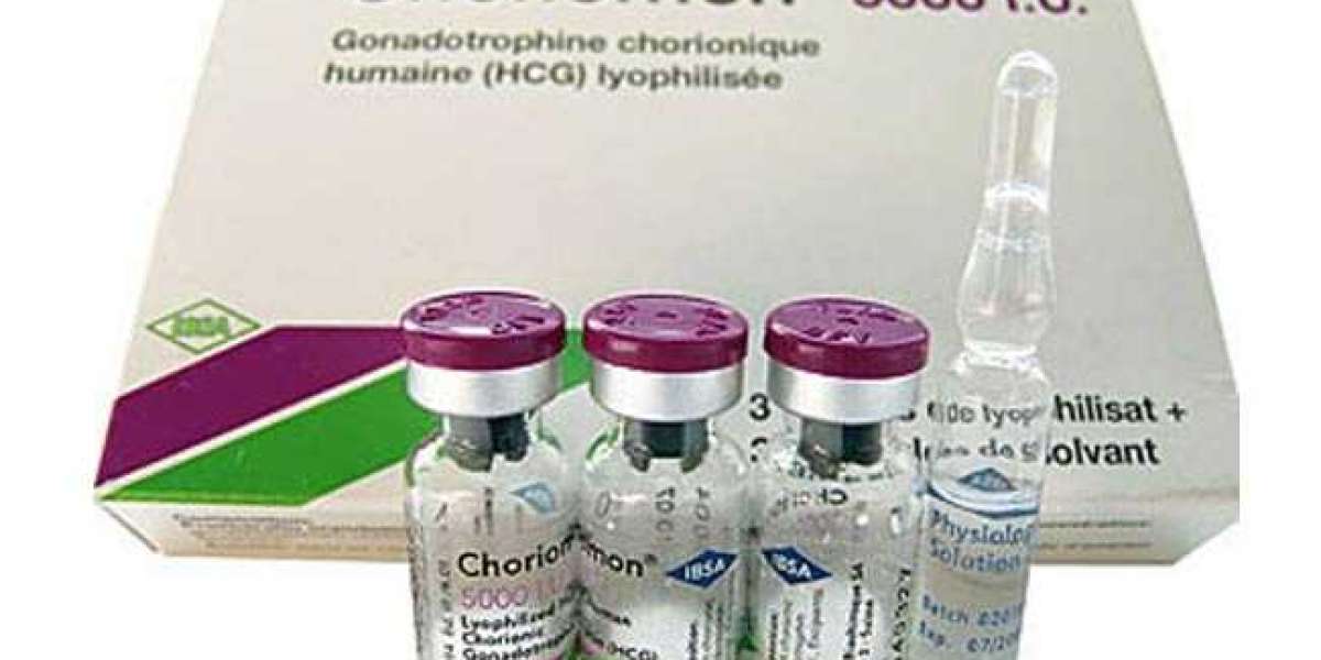 Placental Syncytiotrophoblastic Cells Produce Human Chorionic Gonadotropin (HCG) During Pregnancy