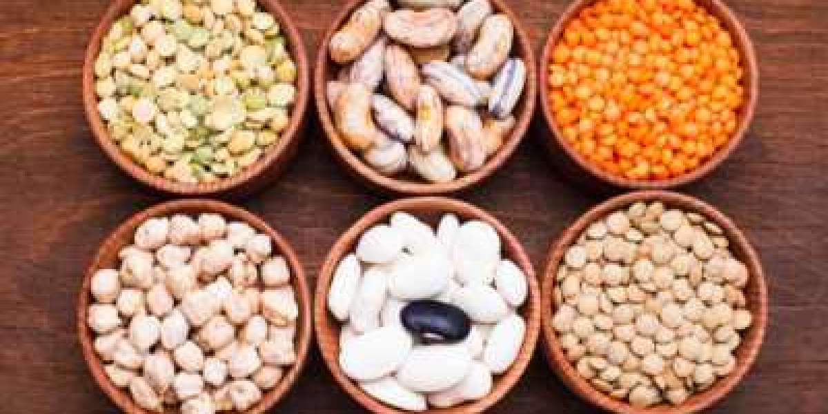 Protein Ingredients Market Size, Share, Report by 2030