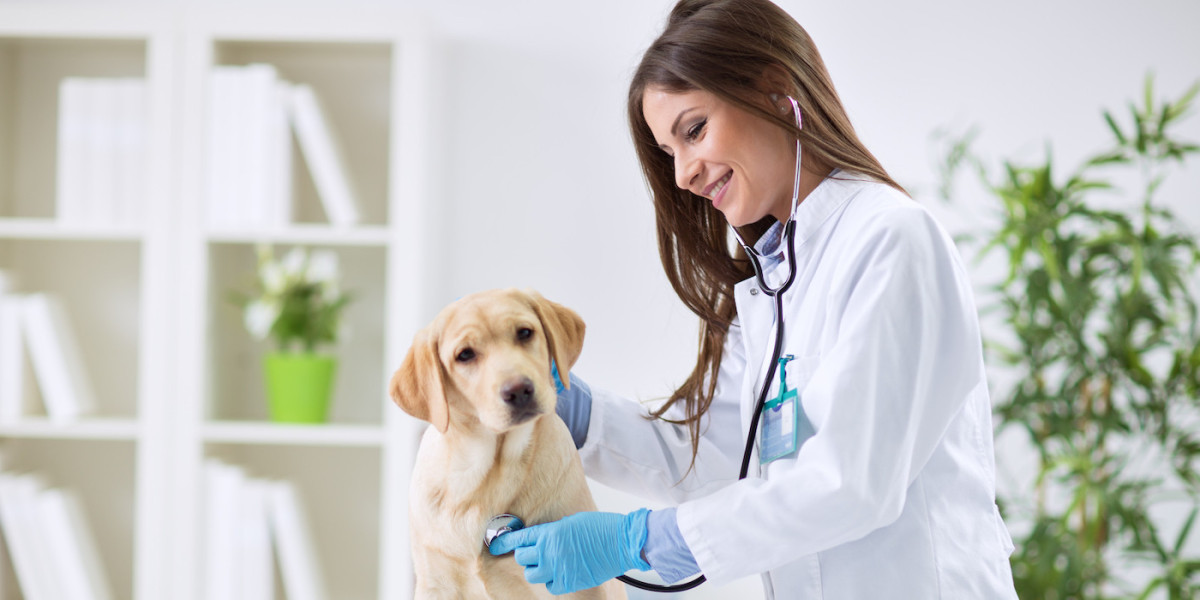 Veterinary Healthcare : Focuses On The Medical Care And Well-Being Of Animals.