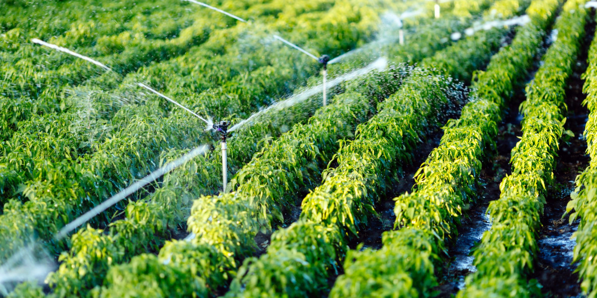 Boosting Agricultural Productivity: How Micro Irrigation Systems Revolutionize Farming