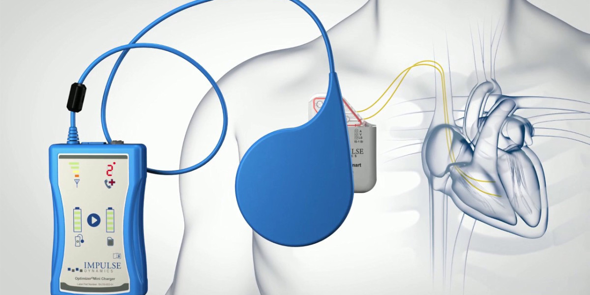 The Place of Implantable Medical Devices Products into the Human Body