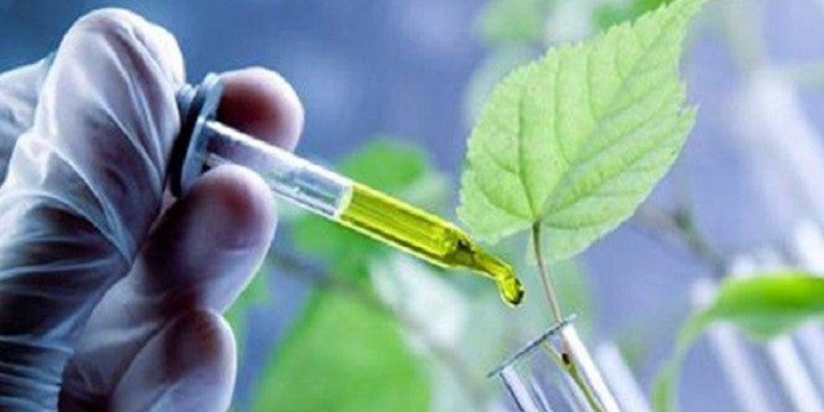 Bio-based Chemicals: Paving the Way Towards a Circular Economy