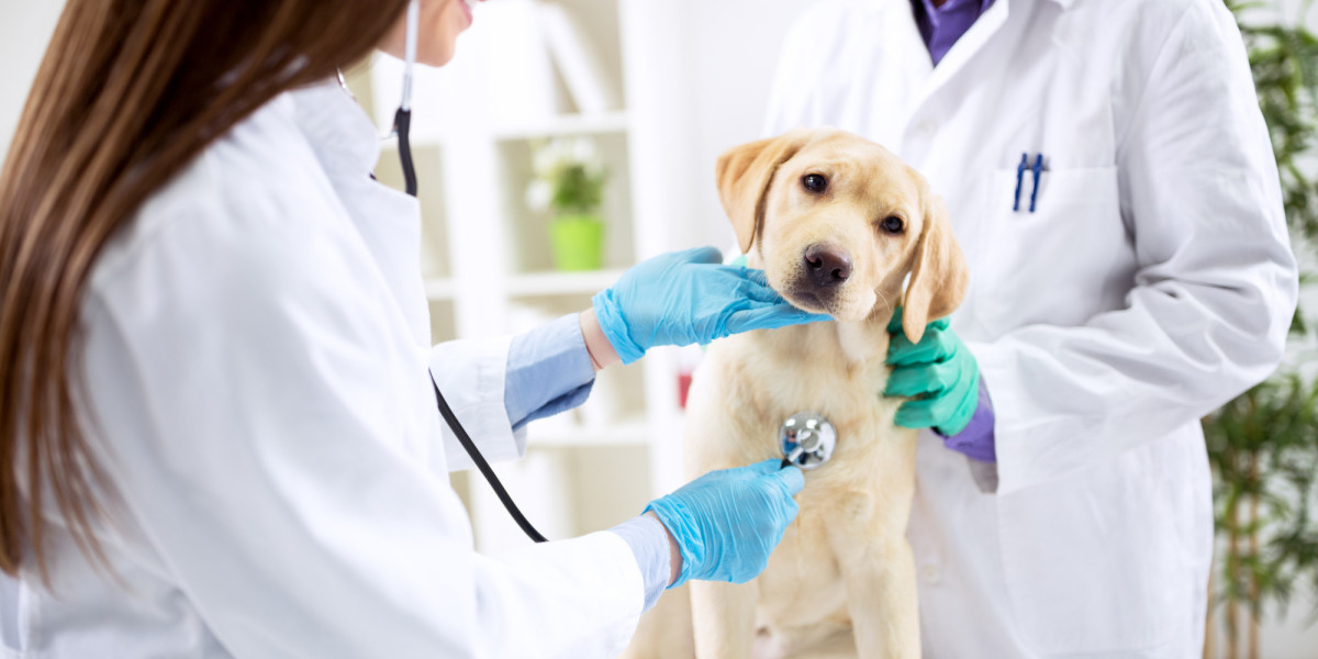 Animal Care In The Digital Age: The Benefits Of Veterinary Telemedicine