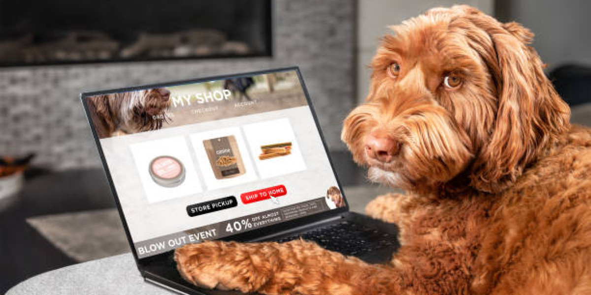 Pet Supplies Market Insights Competitive Landscape, Industry analysis, Segmentation and Trends