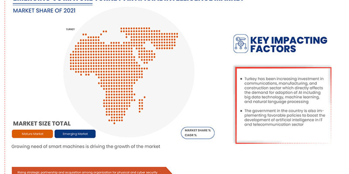 Turkey Artificial Intelligence Market Research: Market Segmentation and Competitive Analysis