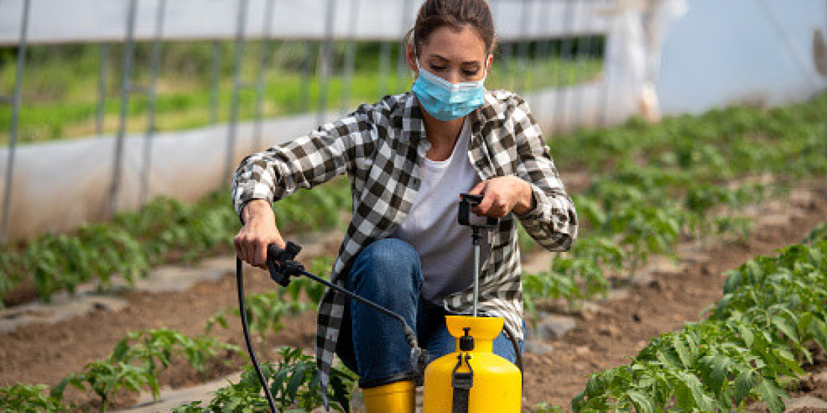 Plant Hormones Market: Investment, Key Drivers, Gross Margin, and Forecast 2030