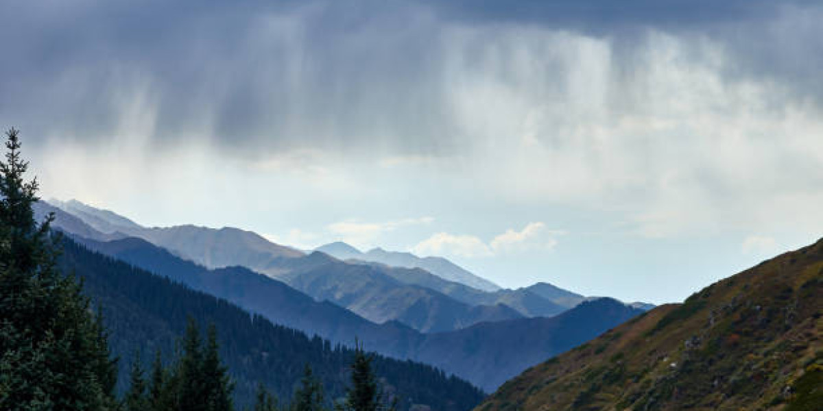 The Psychology behind Misty Green Scrubs in the Medical Industry