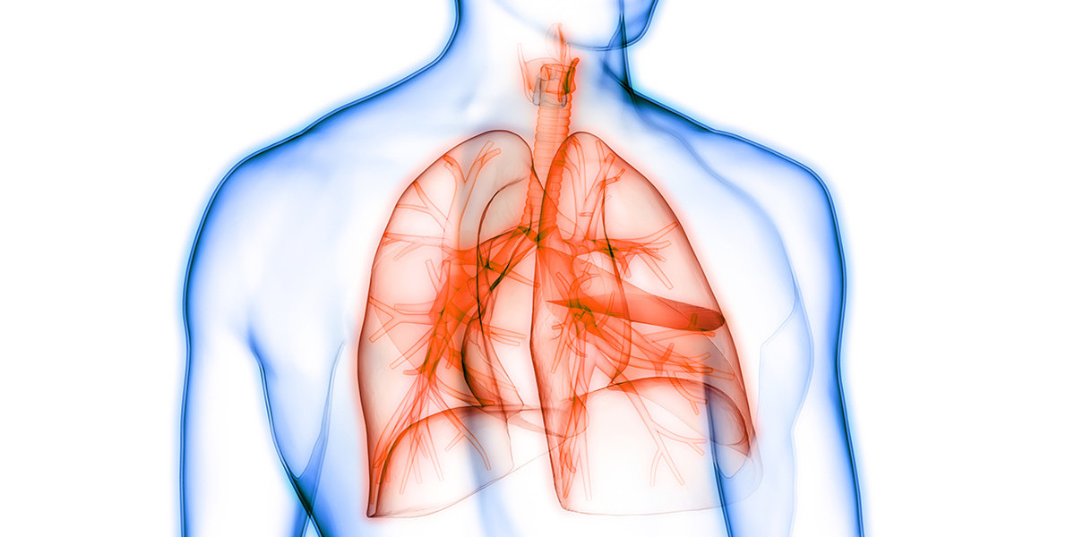 The Pulmonary Arterial Hypertension Drug Helps Improve Cardiac And Pulmonary Function