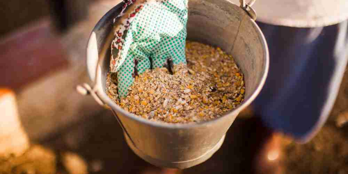 Feed Enzymes Market Forecast: Market Trends and Future Prospects