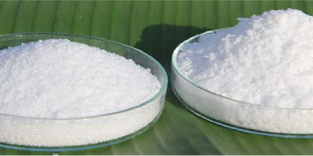 Lauric Acid Market Size, Share, Demand, Growth & Trends by 2032