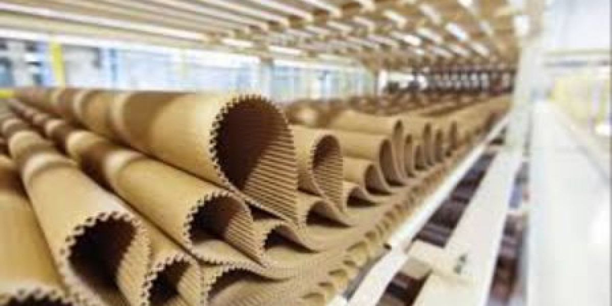 Paperboard Packaging Market Size, Share, Report by 2030