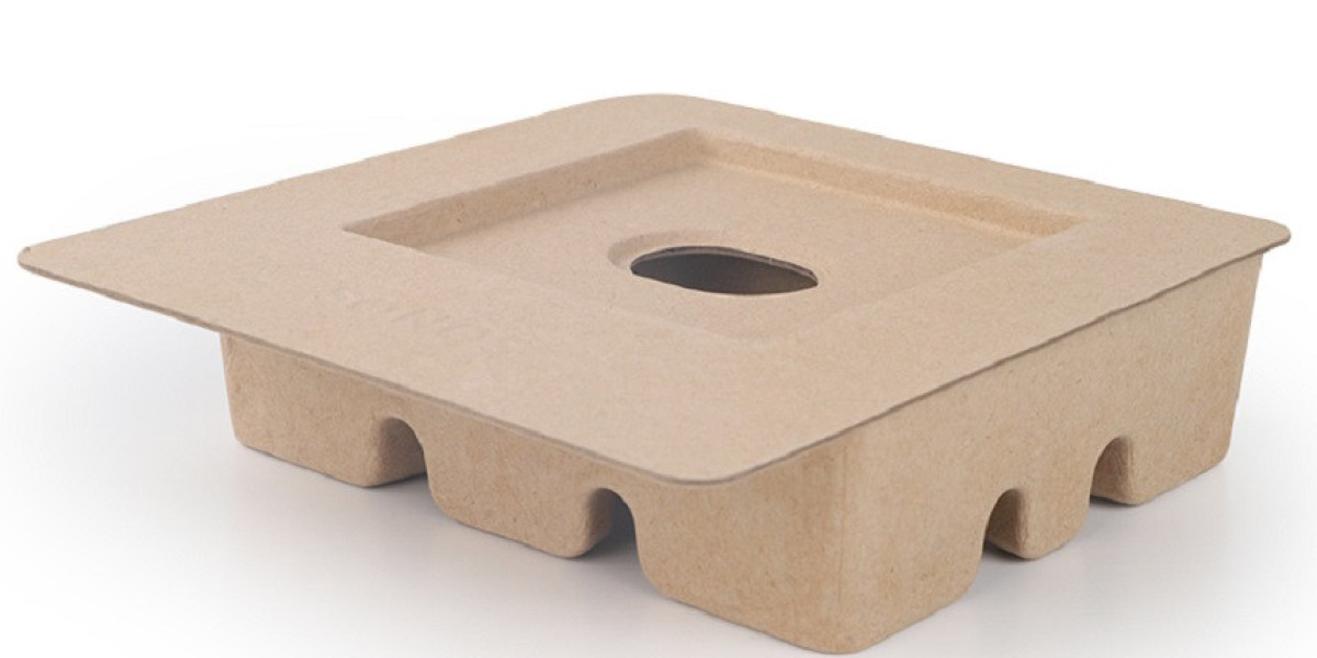 Beauty Instrument Pulp Tray