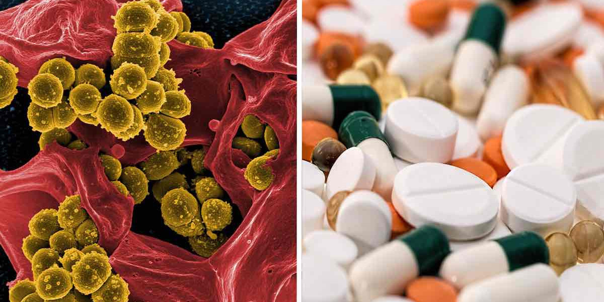 Common Types of Antibacterial Drugs and Their Uses