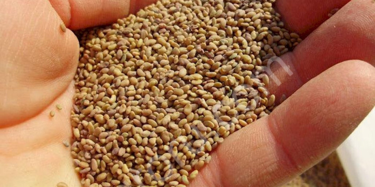 Alfalfa Seeds Market Report, Application Scope, Growth Drivers and Insights From 2020 To 2030