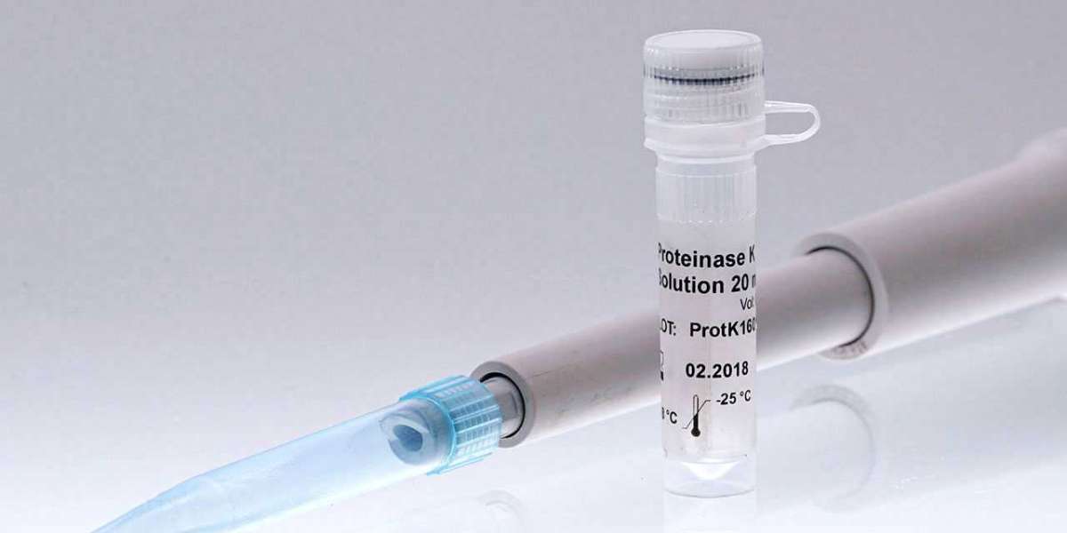 Demand and Supply Dynamics of the Proteinase K Market