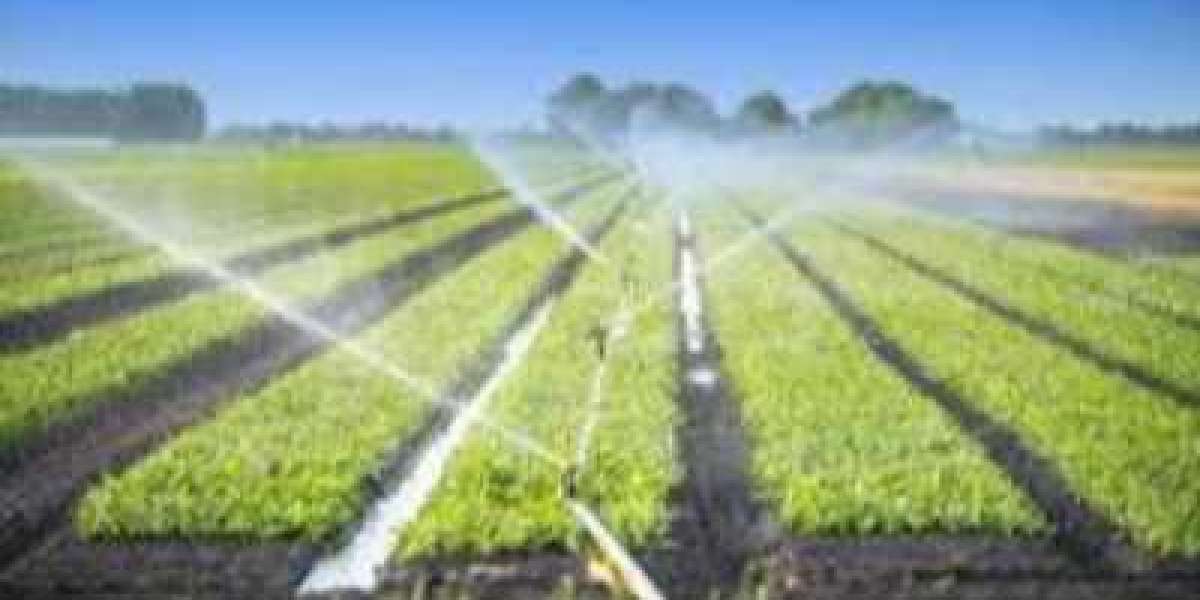 Agricultural Testing Market Size, Share, Report by 2030