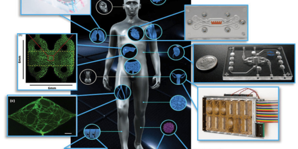 Optically Clear Materials Must Be Used In the Manufacture of Organ-On-A-Chip Devices