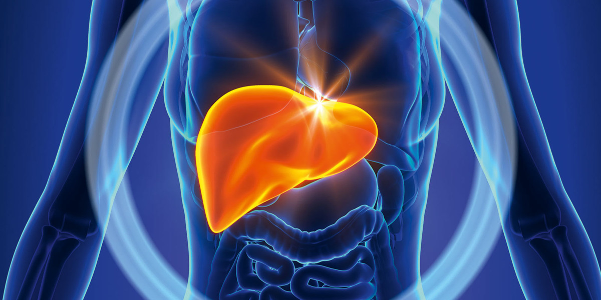 Precision Medicine in Liver Cancer Therapeutics: Tailored Treatments for Individual Patients