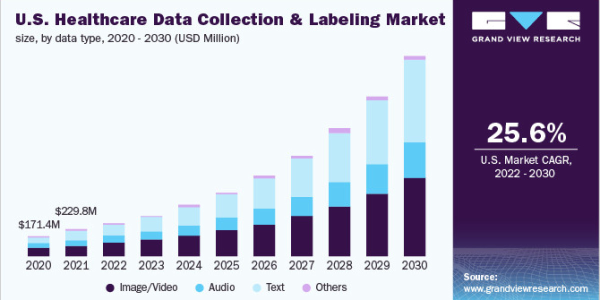 Healthcare Data Collection And Labeling Market Revenue, Share and Growth Rate to 2030