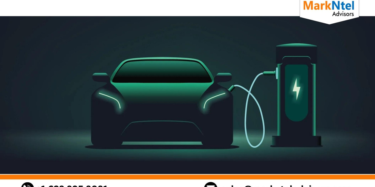 A Look Into the Future of the Latin America Hybrid Electric Vehicle Market