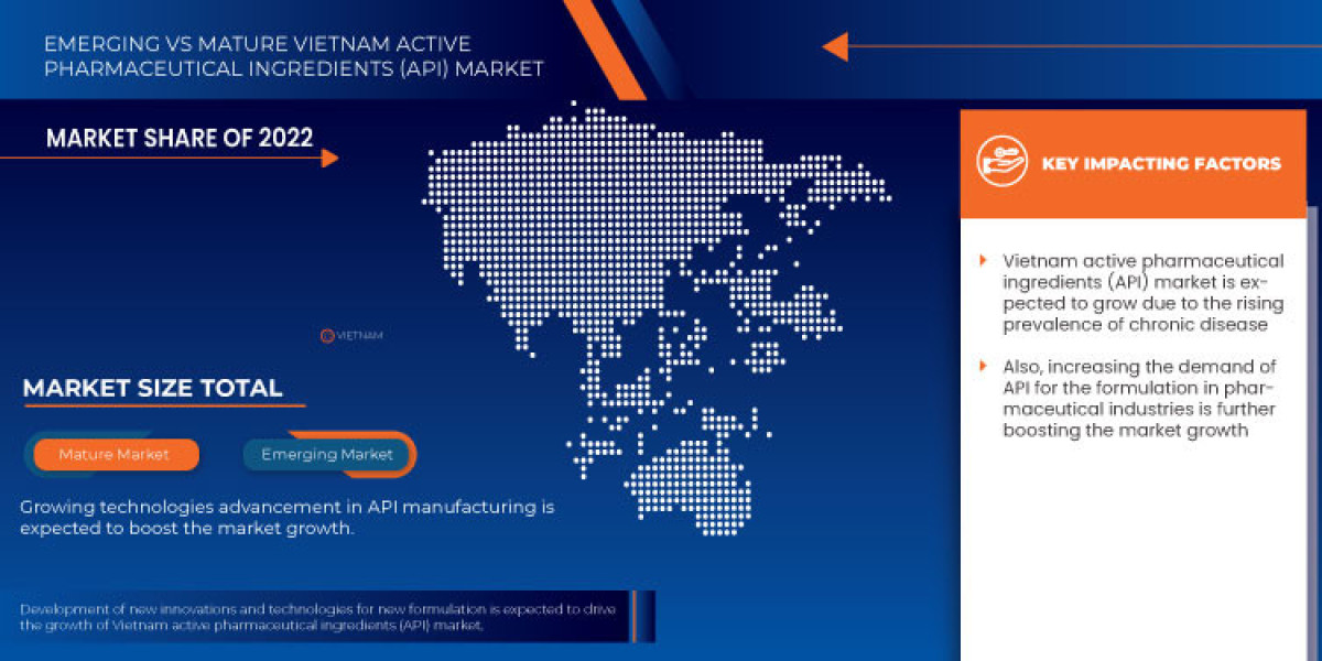 Vietnam Active Pharmaceutical Ingredients (API) Market Research: Market Segmentation and Competitive Analysis