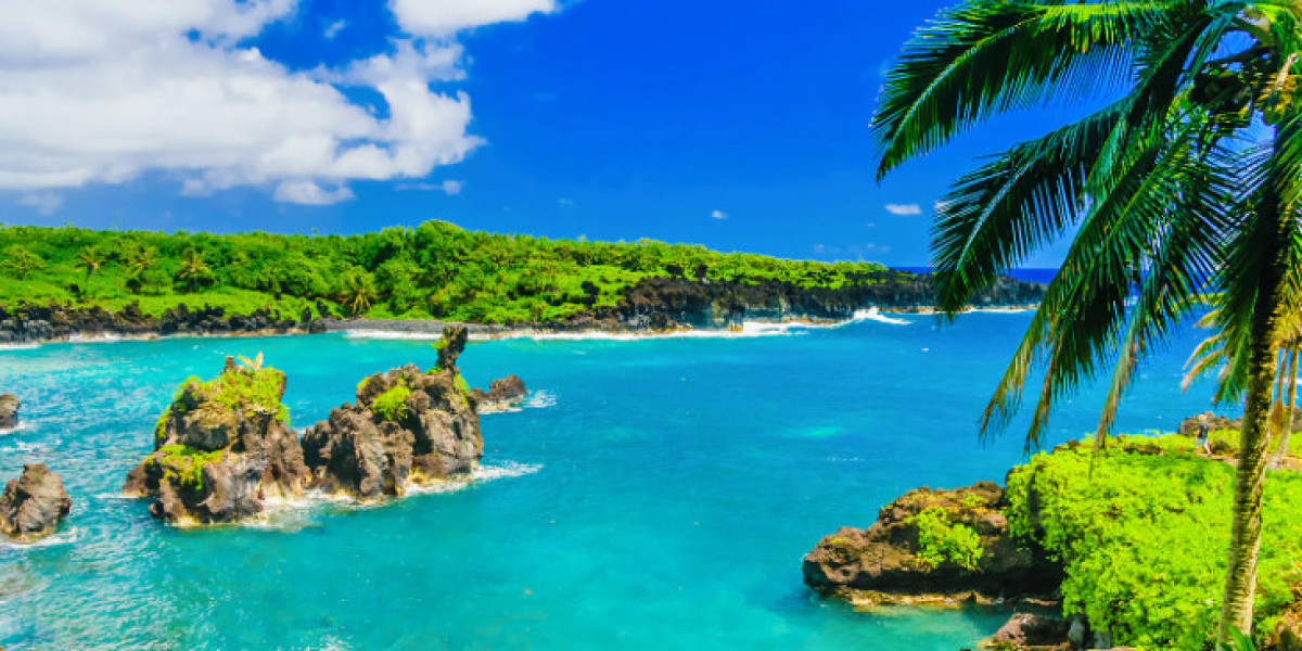 The Cost of Installing a Vape Detector in Your Home