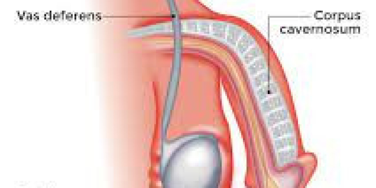 Vidalista 20 Mg – Best For Cure Ed From Do Light Up