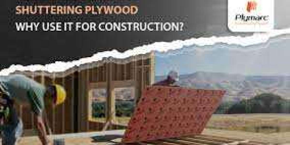 Why Shuttering Ply is Essential for a Sturdy Construction Project