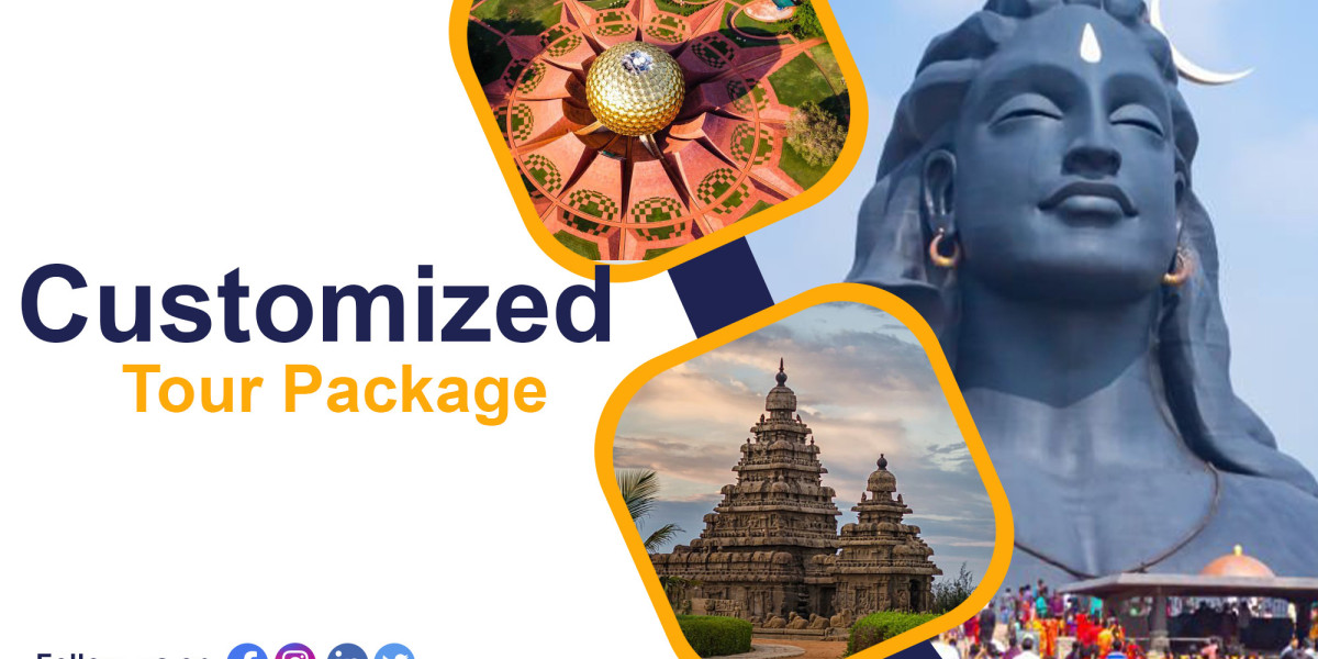 Create Unique Experiences with Customized Tour Packages