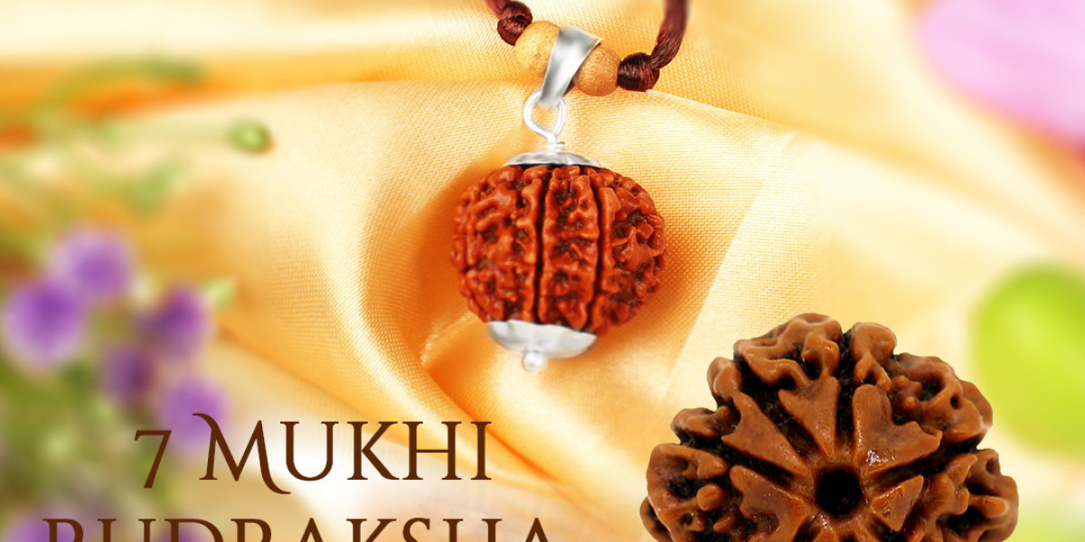 Buy 7 Mukhi Rudraksha Online at Rashi Ratan Bagya