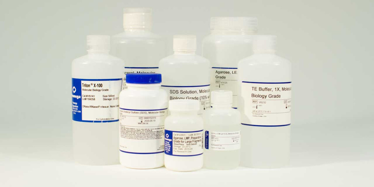 Exploring the Potential Applications of Bovine Serum Albumin in Biotechnology