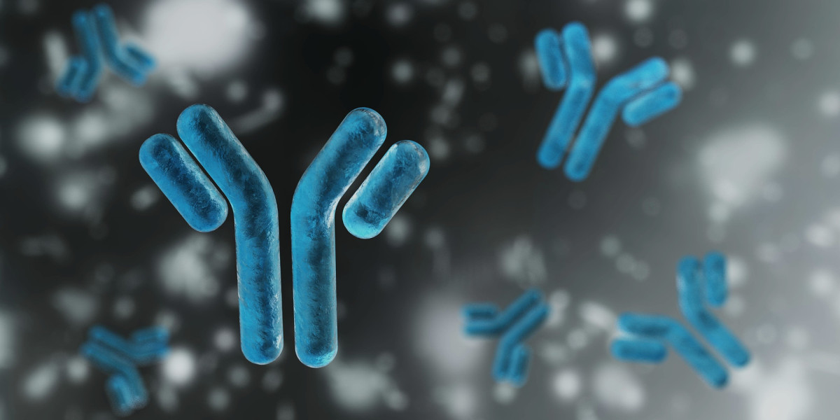 Fc Protein And Glycoengineered Antibodies Involves The Manipulation Of The Glycosylation Process